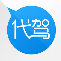 广州代驾app开发公司