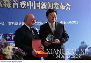 商务会议的核心要素与务实策略